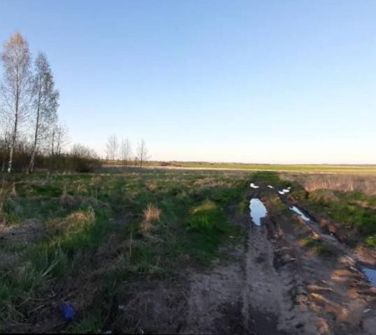 Ленинградская область, Городец дер.