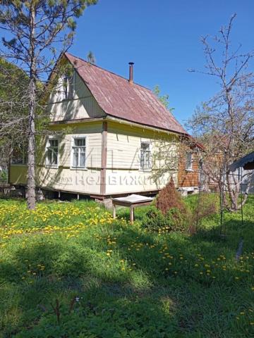 массив. Борисова Грива