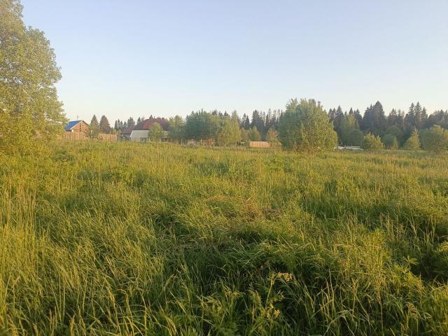 Ленинградская область, Лампово пос.