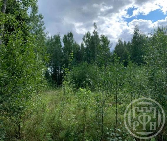 Посадников Остров массив