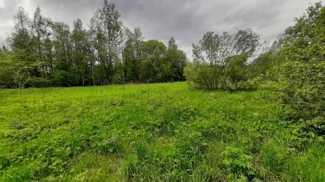 Ленинградская область, Шадырицы дер.