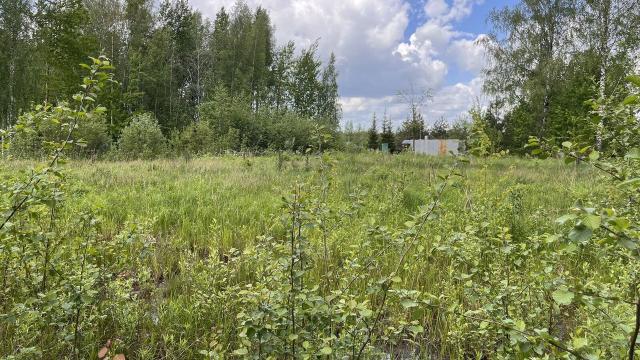 Ленинградская область, Славянка массив, Апраксин СНТ