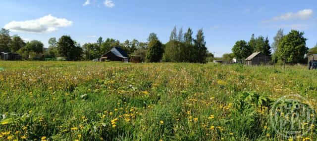 Бегуницы пос.