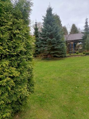 Ленинградская область, Хирвости дер., Центральная ул., 48а