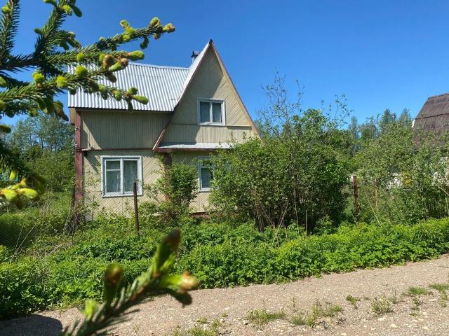 Ленинградская область, Мшинская массив, Советская звезда СНТ, 80