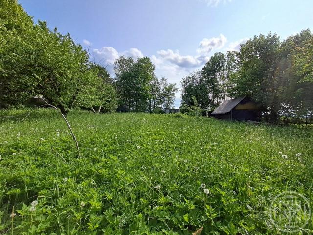 Мурилово дер.