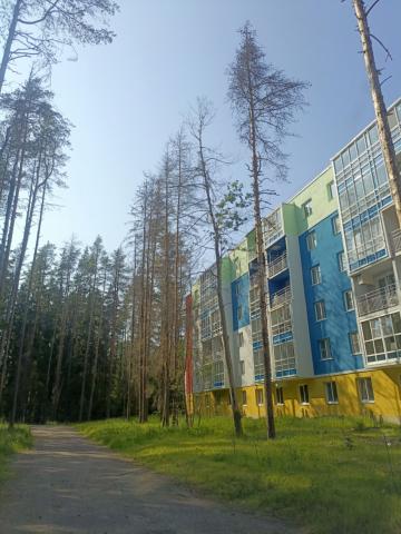 Зеленогорск, Строителей ул., 3а