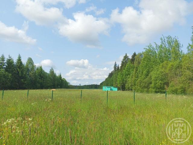 Горьковское пос.