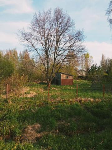 Ленинградская область, Борисова Грива дер., Ириновское ш., 14А