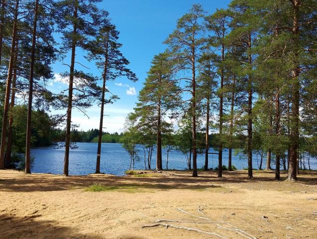 Ленинградская область, Кирилловское пос., Озерная ул., 3