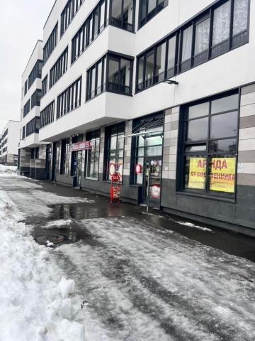 Ветеранов пр., 198