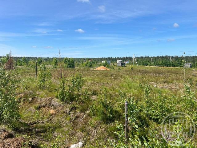 Вымпел тсн, Центральная ул.