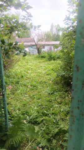 Ленинградская область, Прибытково пос., Строитель-2 сад, 42