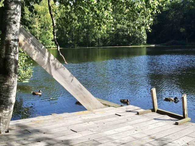 Ленинградская область, Куйвозовское сельское поселение, Грузино Сити КП