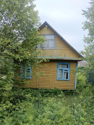 Ленинградская область, Кисельня пос.