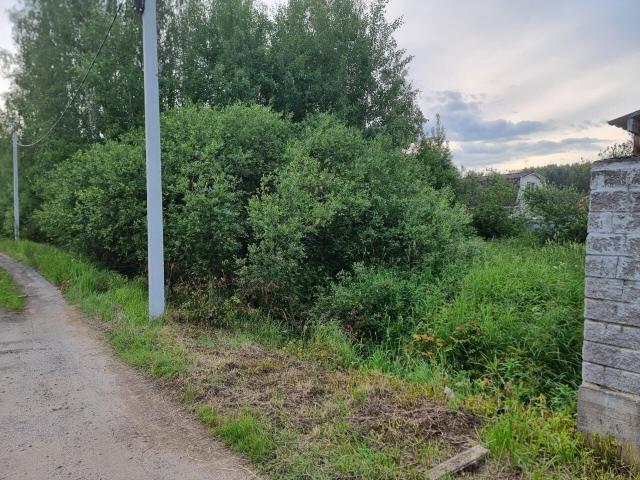 Ленинградская область, Аро дер., Луговая ул., 6