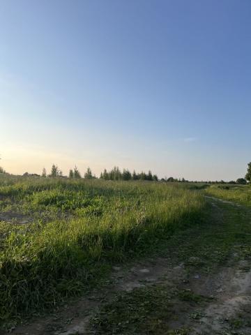 Ленинградская область, Хапо-Ое пос., Озерковый пер.