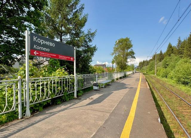 Ленинградская область, посёлок при железнодорожной станции Корнево, Дачная ул., 6