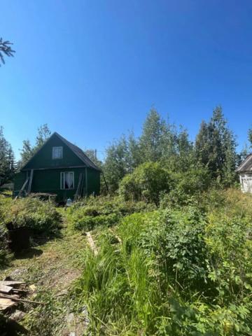 Ленинградская область, Михайловский массив, Михайловское-2 Красногвардеец СНТ