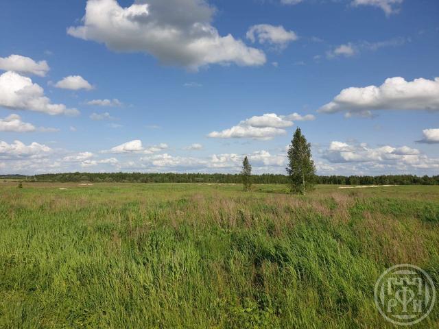 ЗАО Можайское