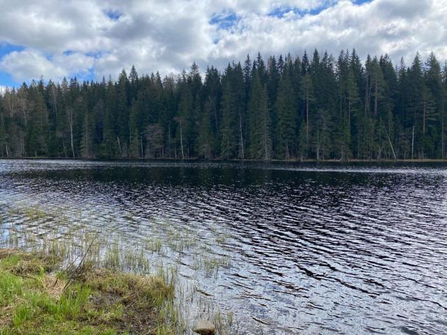 Ленинградская область, Озон СНТ