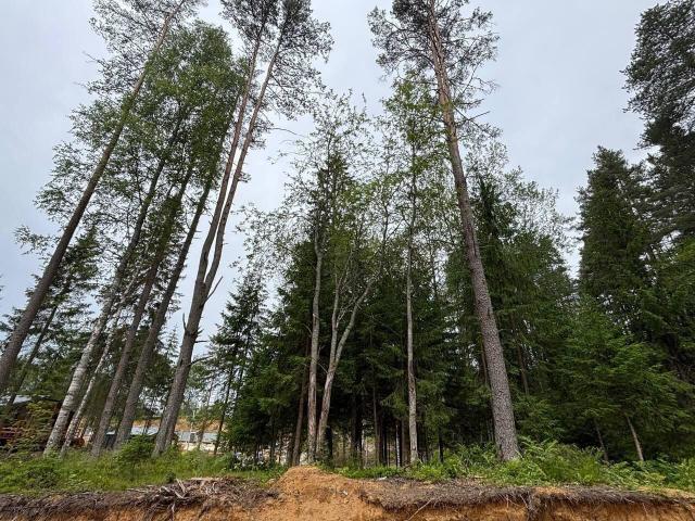 Ленинградская область, Белкино-3 КП, 6997