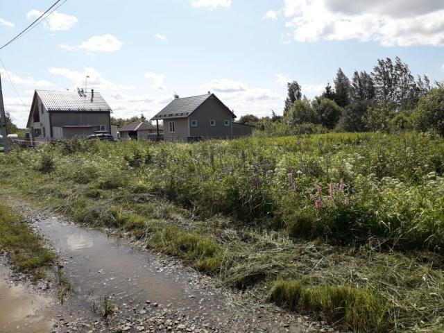 Ленинградская область, Ивангород г.