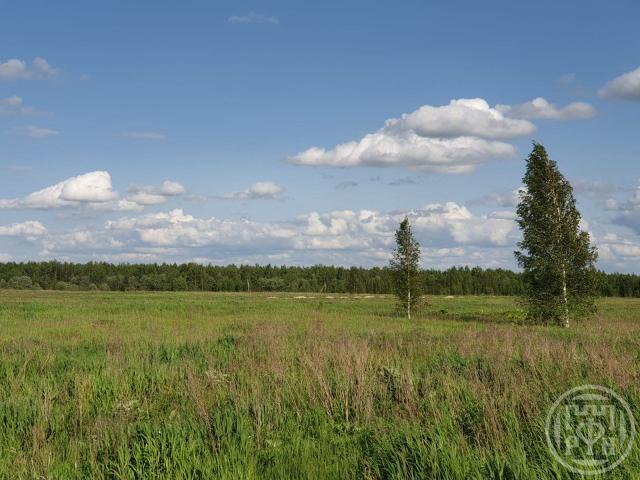 ЗАО Можайское