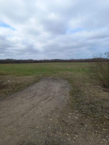 Ленинградская область, Лялицы дер.