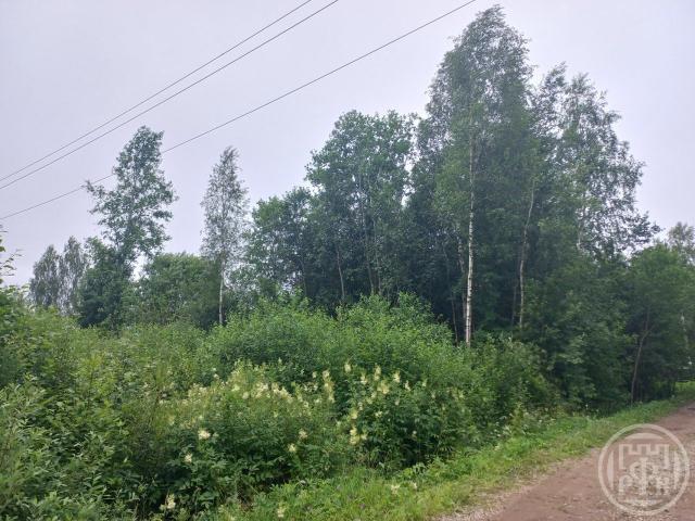 Березовка снт, 5 аллея