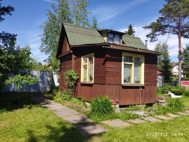 Ленинградская область, Березовая Роща массив, 29