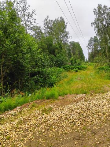 Ленинградская область, Извоз дер.