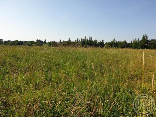 Велигонты дер., Ропшинское шос.