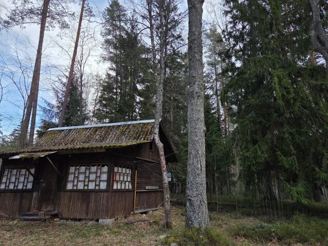Ленинградская область, Тарасово пос.