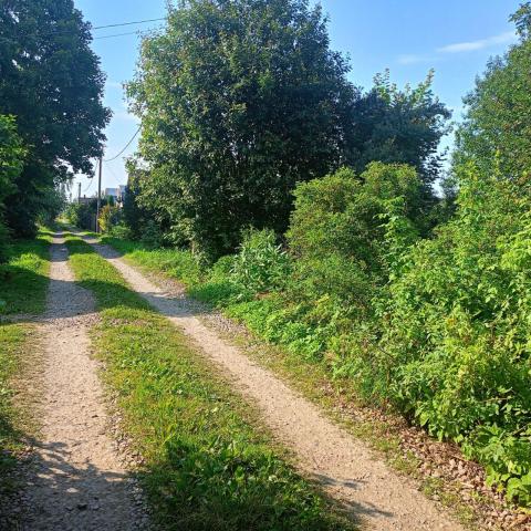 Ленинградская область, Орбита-2 СНТ, 307