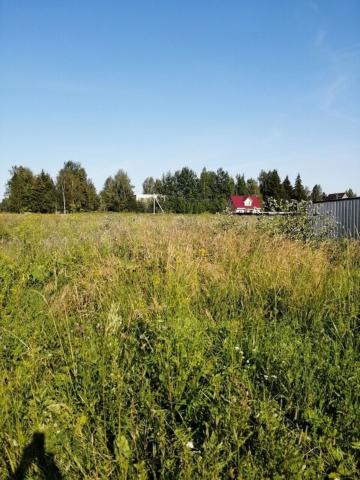 Ленинградская область, Старая Ладога пос.