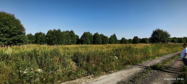 Ленинградская область, Аэродром массив