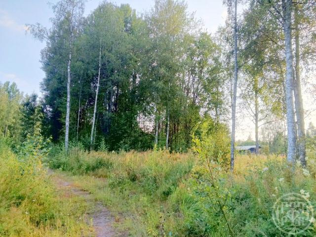 Правдино пос.