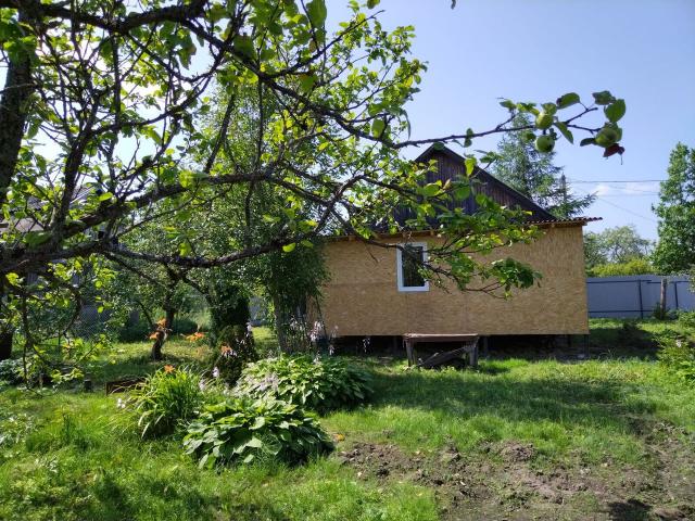 Ленинградская область, Михайловский массив, Фотон ПО Завода Вибратор СНТ, 45в