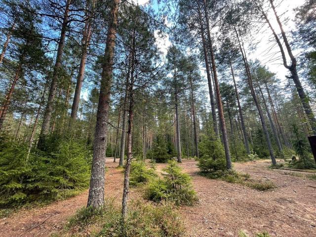 Ленинградская область, Ленинское пос.
