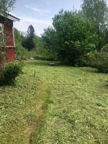 Ленинградская область, Посадница дер.