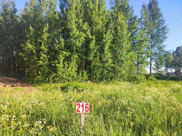 Ленинградская область, Скандинавские высоты ТСН, 216