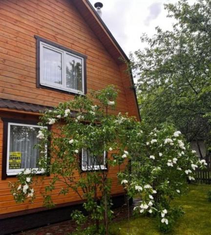 Ленинградская область, Мшинская массив, Светоч СНТ, 420