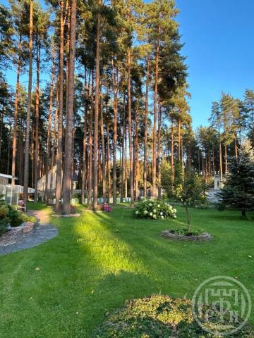 Вырица пос.