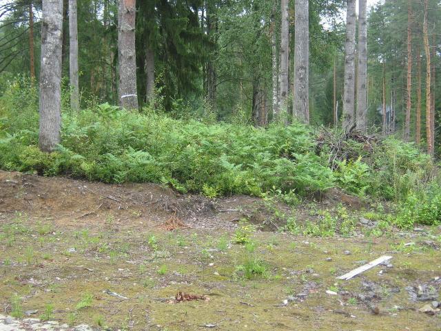 Ленинградская область, Белкино КП