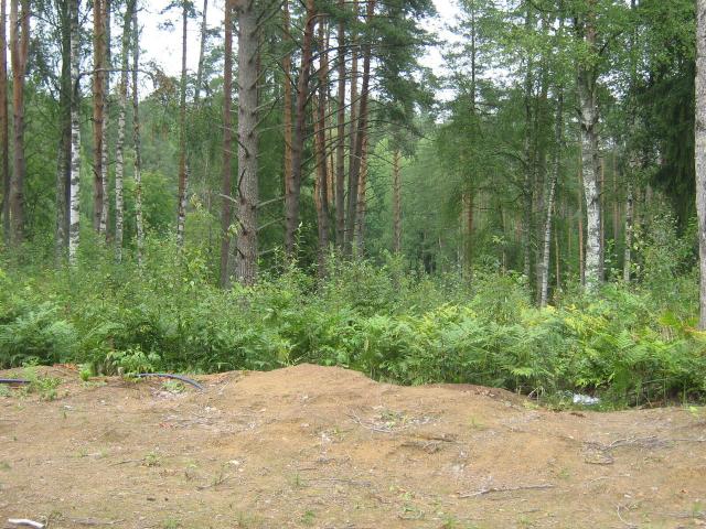 Ленинградская область, Белкино КП