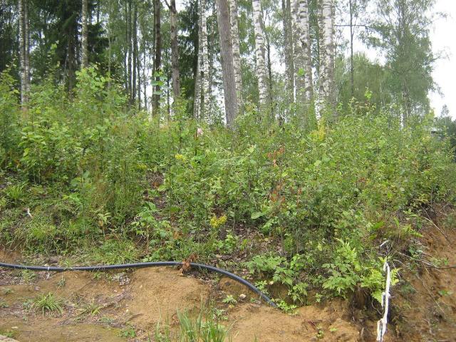 Ленинградская область, Белкино КП