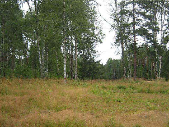 Ленинградская область, Белкино КП