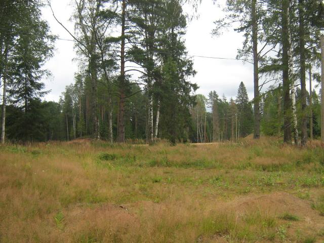 Ленинградская область, Белкино КП