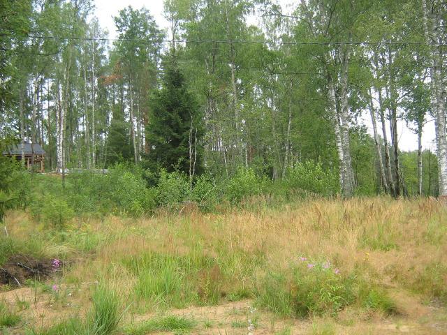 Ленинградская область, Белкино КП